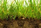 Gurgeenasub-soil-drainage-6.jpg; ?>